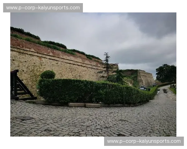 极简美学碰撞巴尔干风暴：当日本遇上塞尔维亚，一场关于意志与灵魂的终极博弈